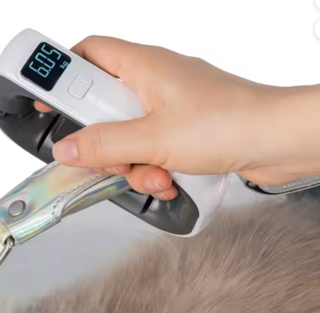 Luggage Weighing Scale