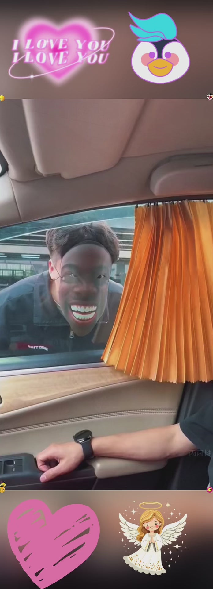 Car Sun Shade Curtain (Set of 4)