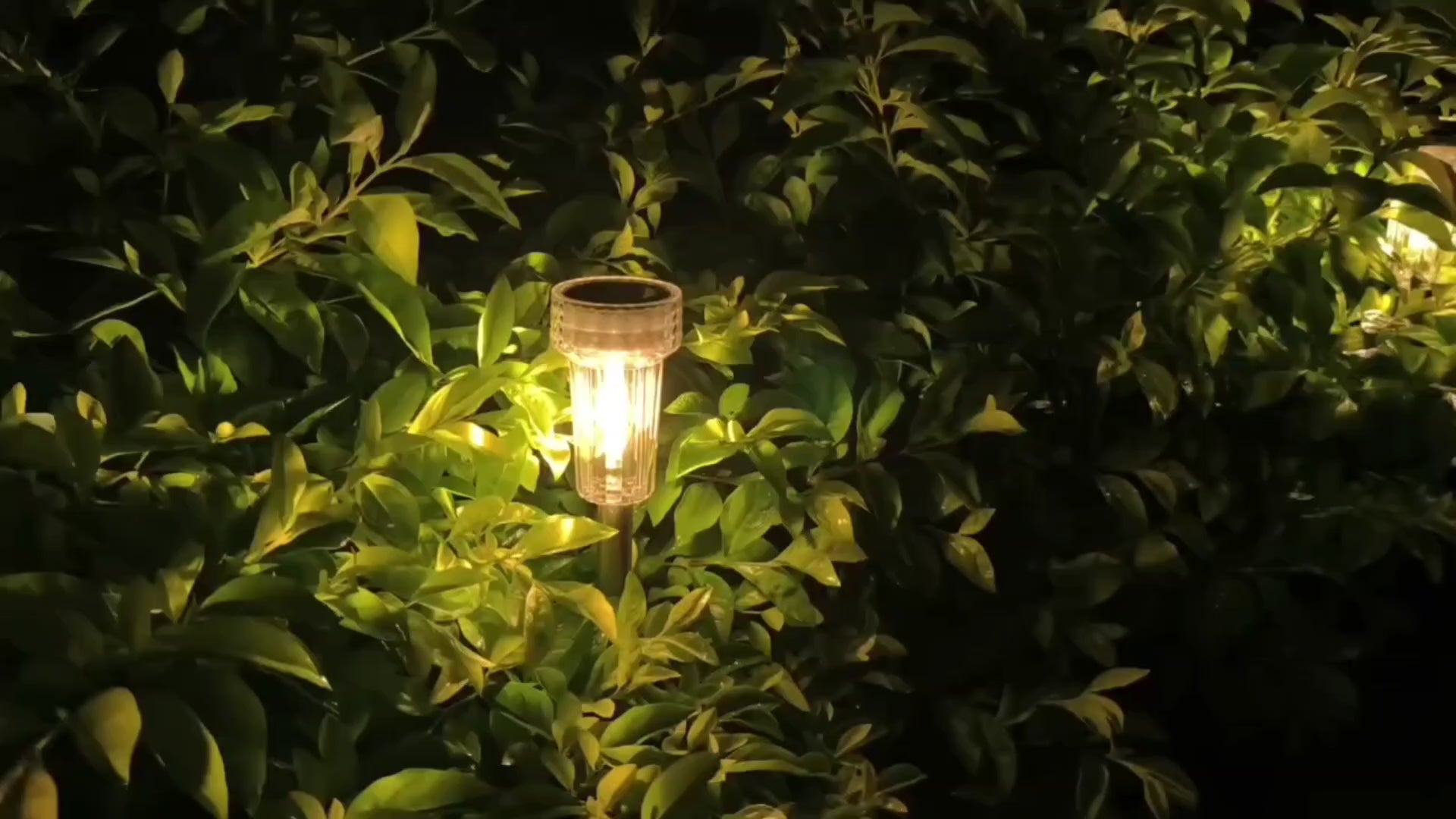 Solar Power Pathway Light